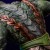 x_is33646_p.jpg