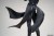 x_apex42304_k.jpg