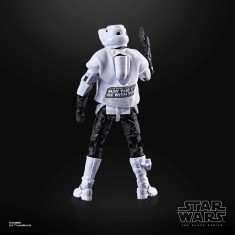 x_hasg2544_d.jpg