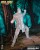 x_mcf11826_a.jpg