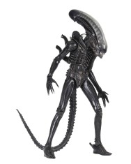 x_neca51598.jpg