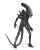 x_neca51598.jpg