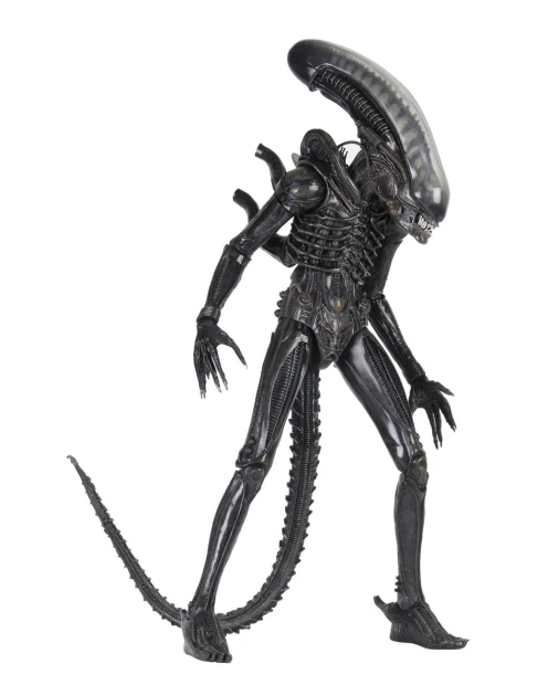 x_neca51598.jpg