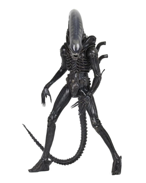 x_neca51598_a.jpg