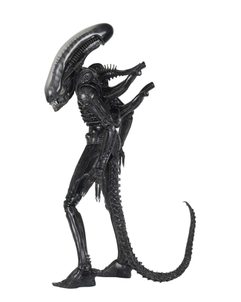 x_neca51598_b.jpg