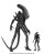 x_neca51598_c.jpg