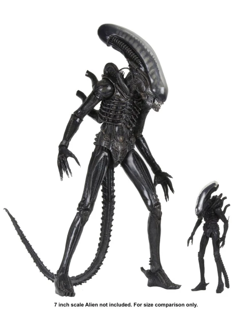 x_neca51598_c.jpg