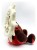 x_yoto71054_b.jpg