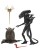x_neca51646.jpg