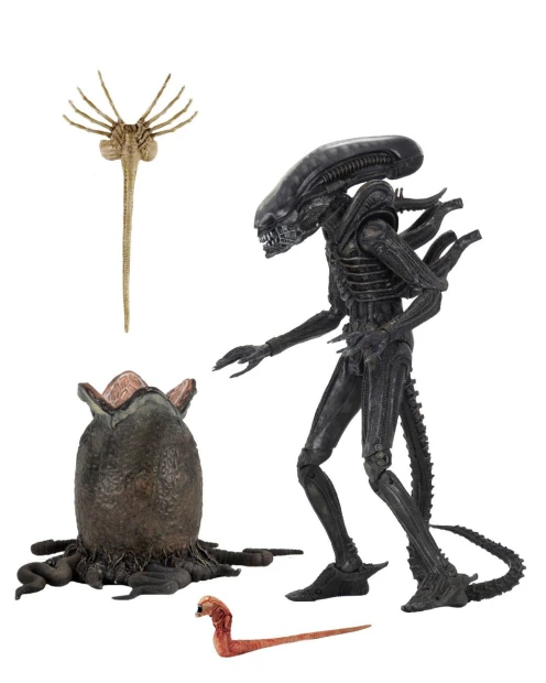 x_neca51646.jpg