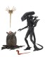x_neca51646.jpg