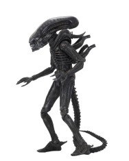 x_neca51646_a.jpg