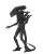 x_neca51646_a.jpg