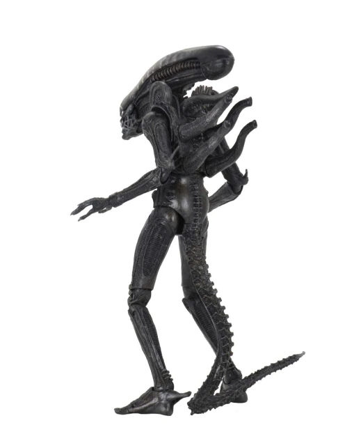 x_neca51646_b.jpg