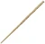 418122313.webp
