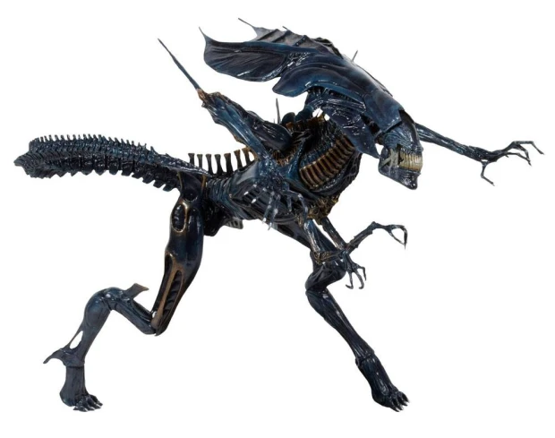 x_neca51385.jpg
