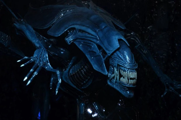 x_neca51385_c.jpg