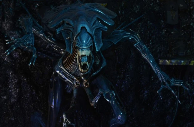 x_neca51385_d.jpg