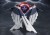 x_btn72262_c.jpg