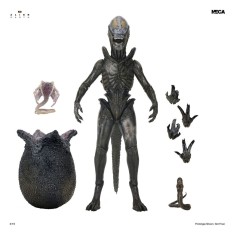 x_neca51766-01_a.jpg