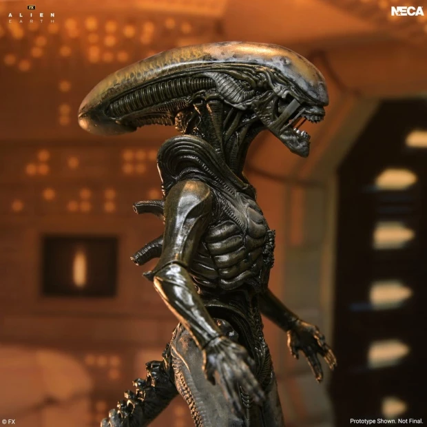 x_neca51766-01_c.jpg