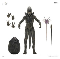 x_neca51756-01_a.jpg