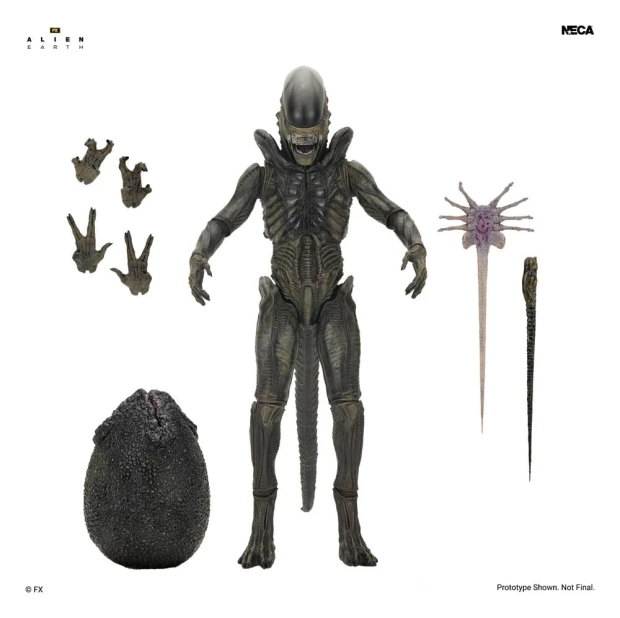x_neca51756-01_a.jpg
