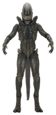 x_neca51756-01.jpg