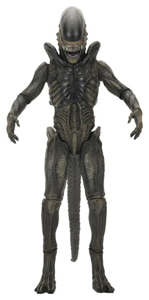 x_neca51756-01.jpg