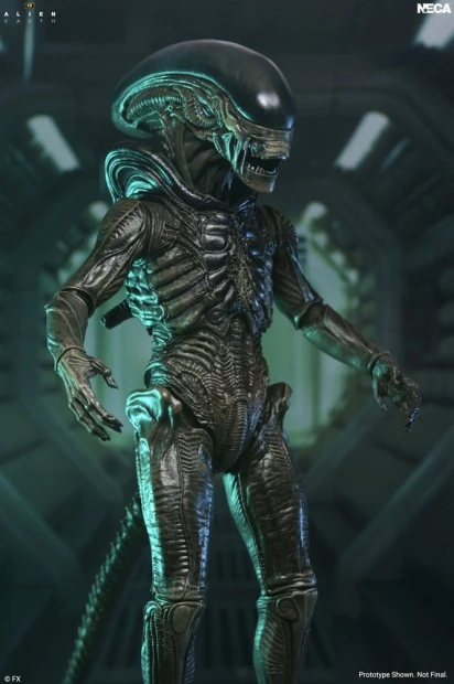 x_neca51756-01_b.jpg
