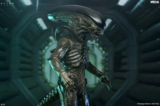 x_neca51756-01_c.jpg