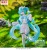 x_sega57207_d.jpg