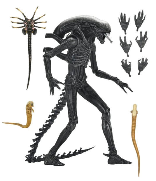 x_neca51742-01_n.jpg