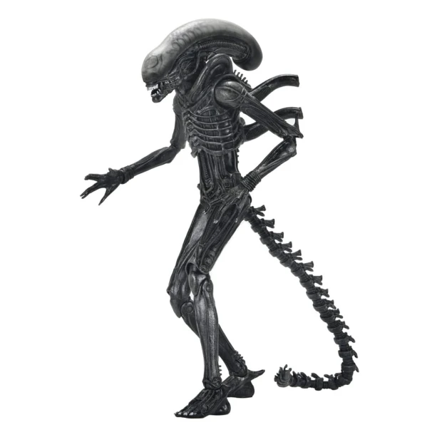 x_neca51742-01.jpg