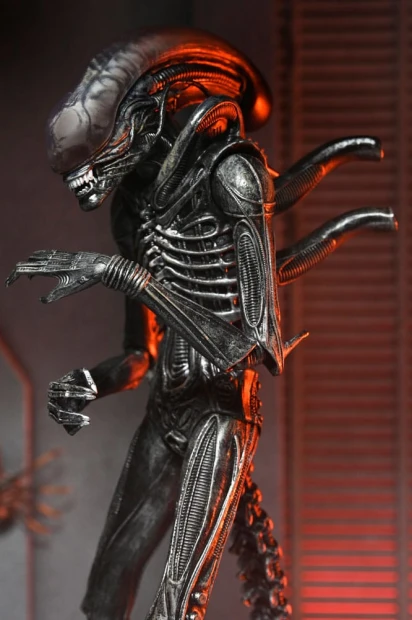 x_neca51742-01_h.jpg