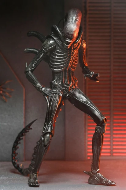 x_neca51742-01_i.jpg