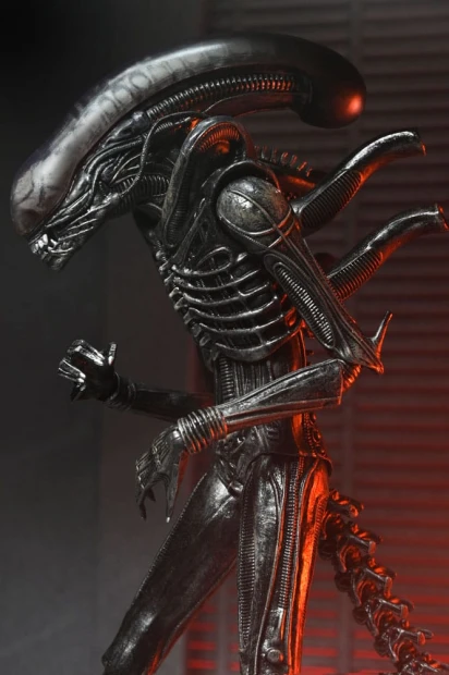 x_neca51742-01_j.jpg
