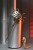 x_neca51742-01_k.jpg