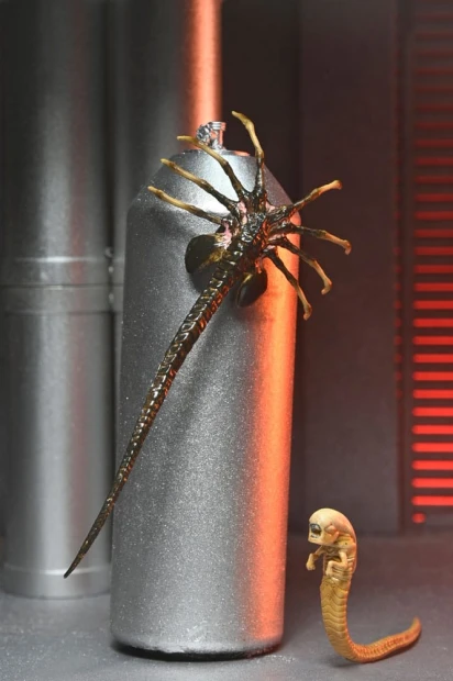 x_neca51742-01_k.jpg