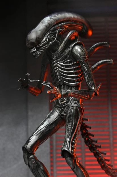 x_neca51742-01_l.jpg