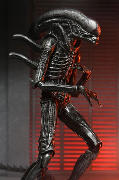 x_neca51742-01_m.jpg