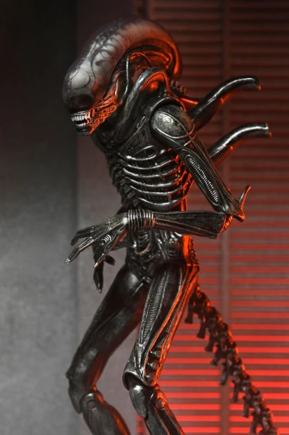 x_neca51742-01_a.jpg