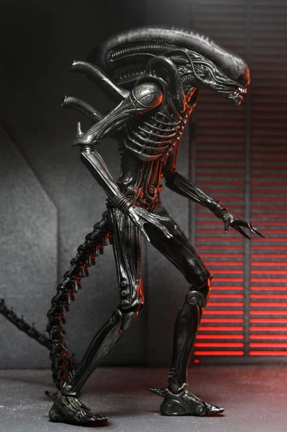 x_neca51742-01_b.jpg