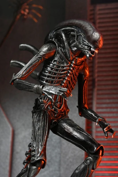x_neca51742-01_c.jpg
