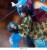 x_sega56249_e.jpg