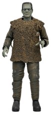 x_neca04752-01.jpg