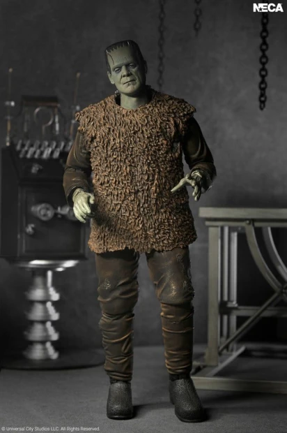 x_neca04752-01_b.jpg
