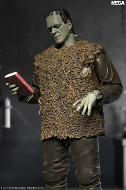 x_neca04752-01_e.jpg