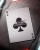 x_t11-sw-yotds-deck_f.jpg