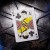 x_t11-star-trek-light_m.jpg